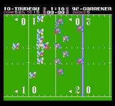 225px-Tecmo_bowl_in_game.JPG