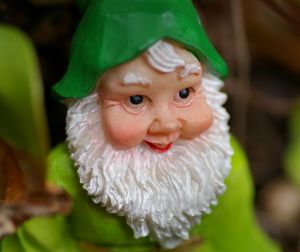 Gnome