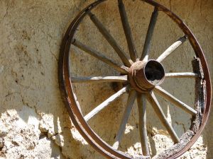 Wheel